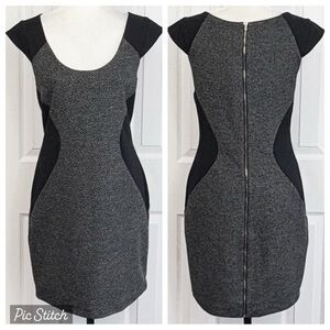 Express Black & Gray Colorblock Knit Cap Sleeve Sheath Dress 12
